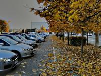 Imagine atasata: 2011-11-03_16-11-09_HDRx.jpg